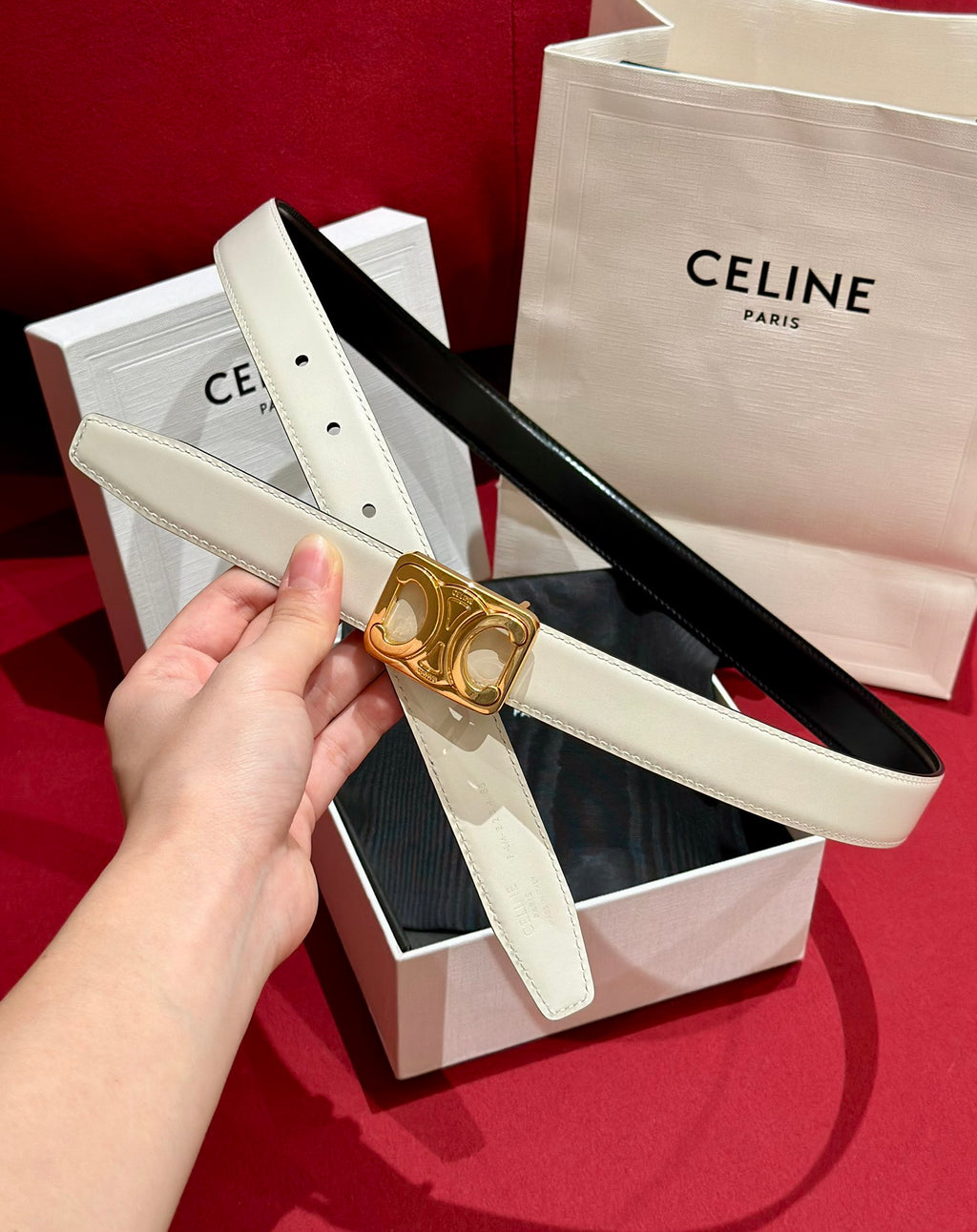 Black/White Medium Reversible Framed Triomphe Belt