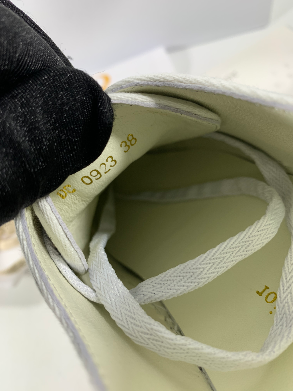 Beige canvas WD sneaker