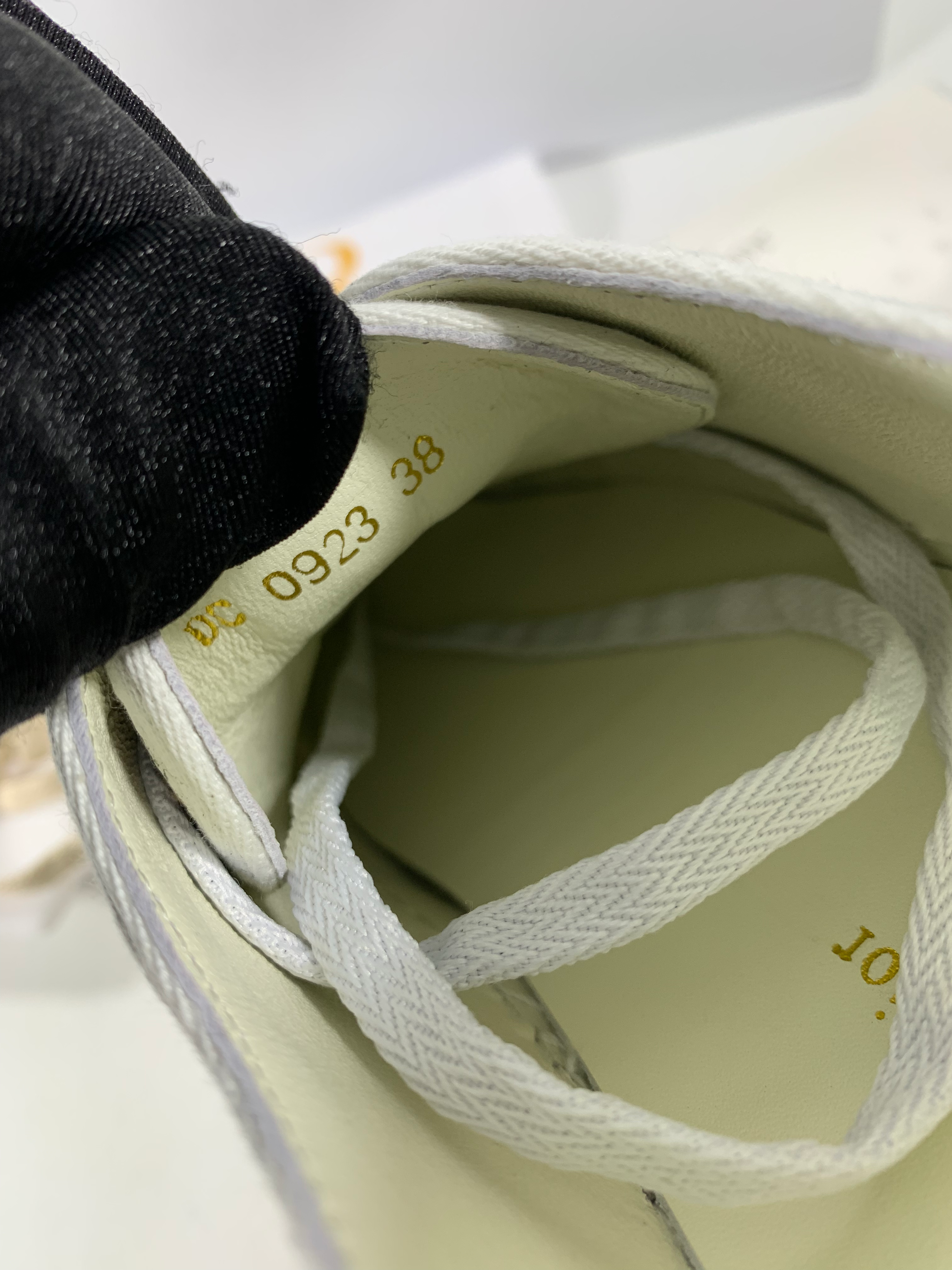 Beige canvas WD sneaker