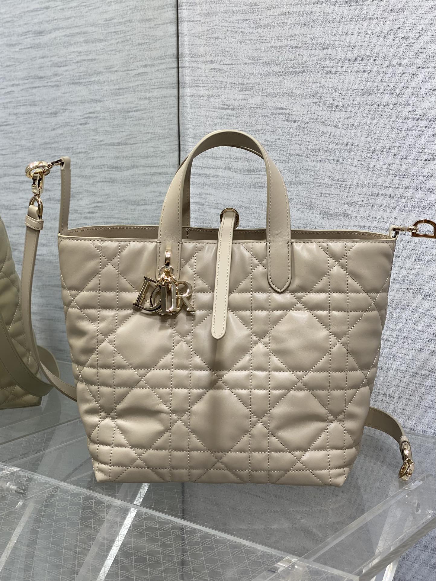 Powder Beige Small Toujours Vertical Tote Bag