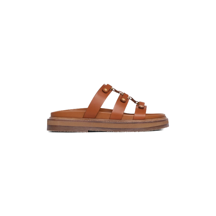 Tan Tippi Slides