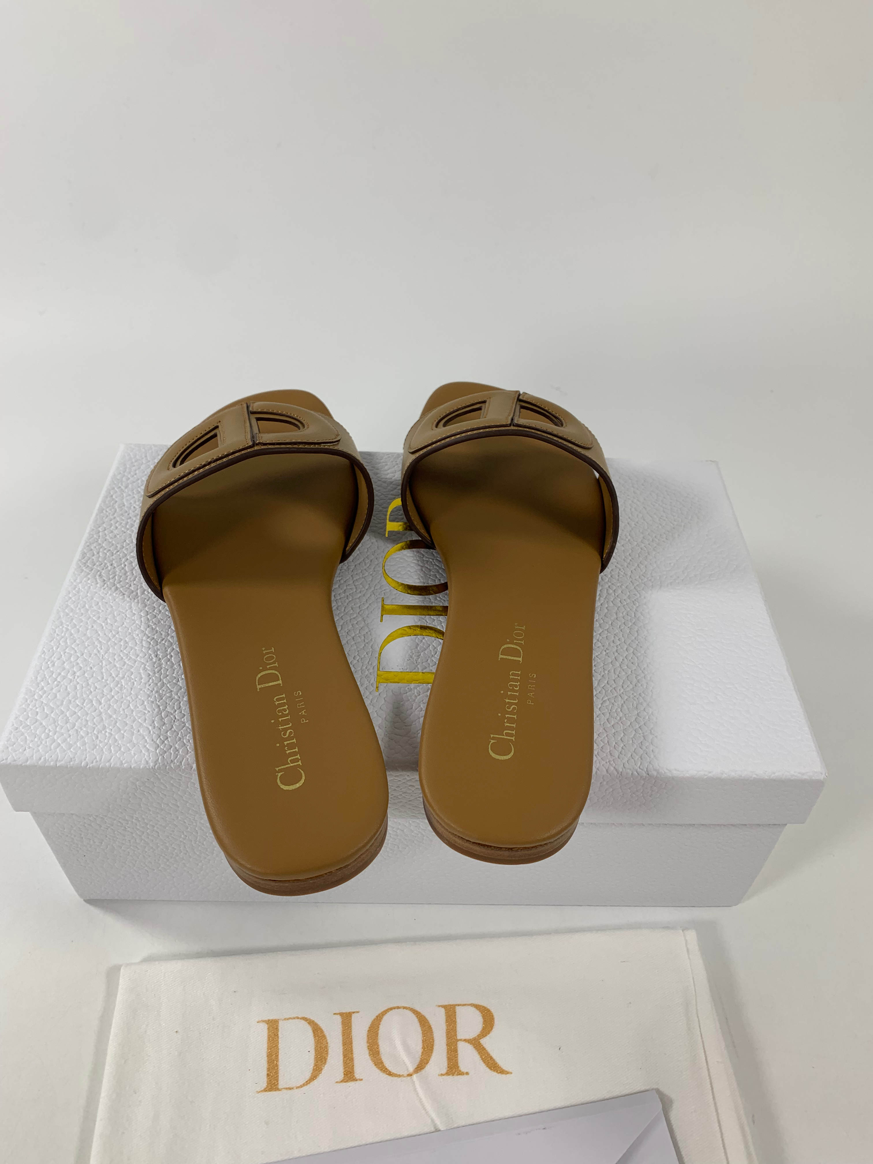 Camel DC mule