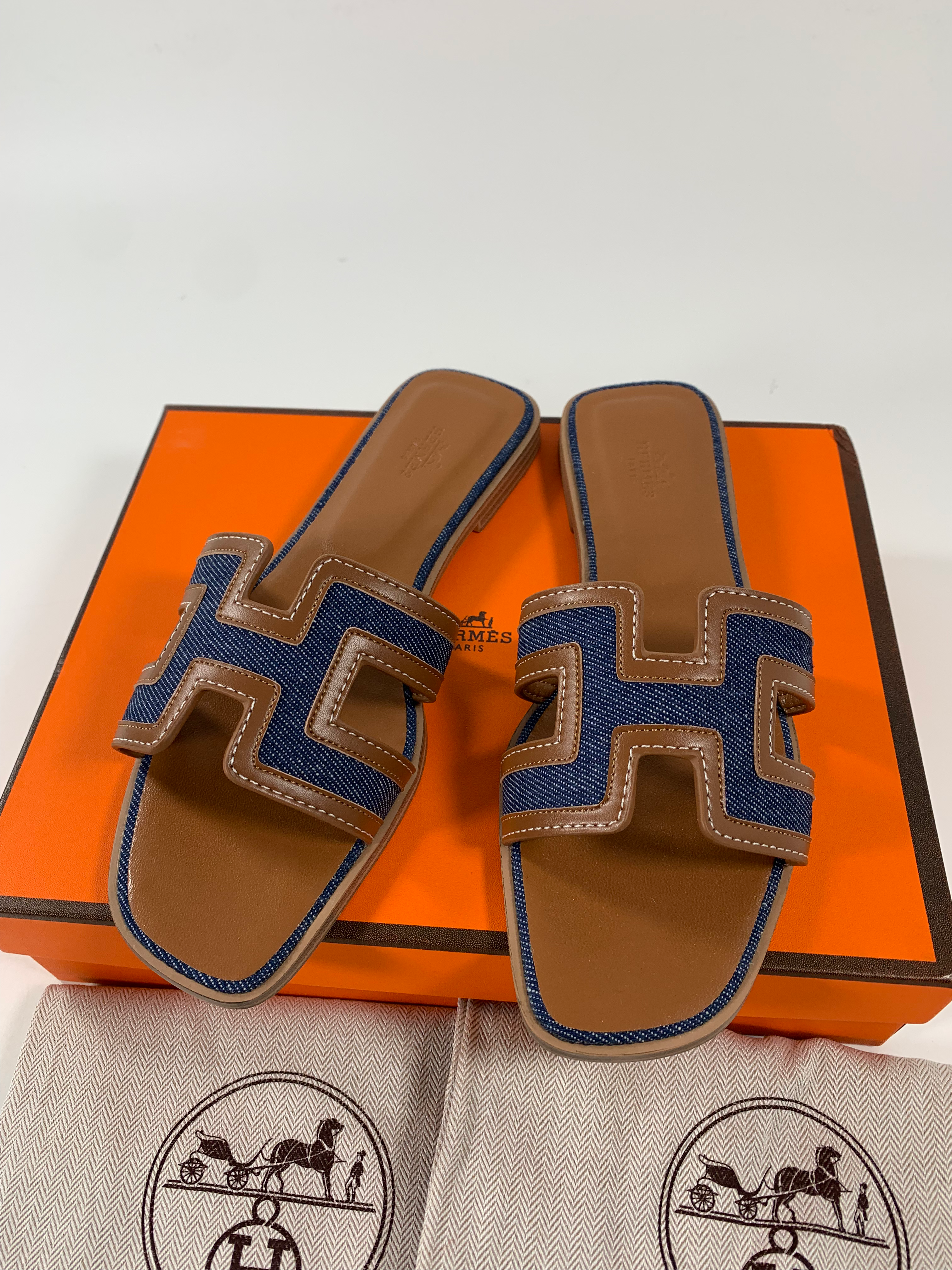 Blue Brut/Gold HO sandal