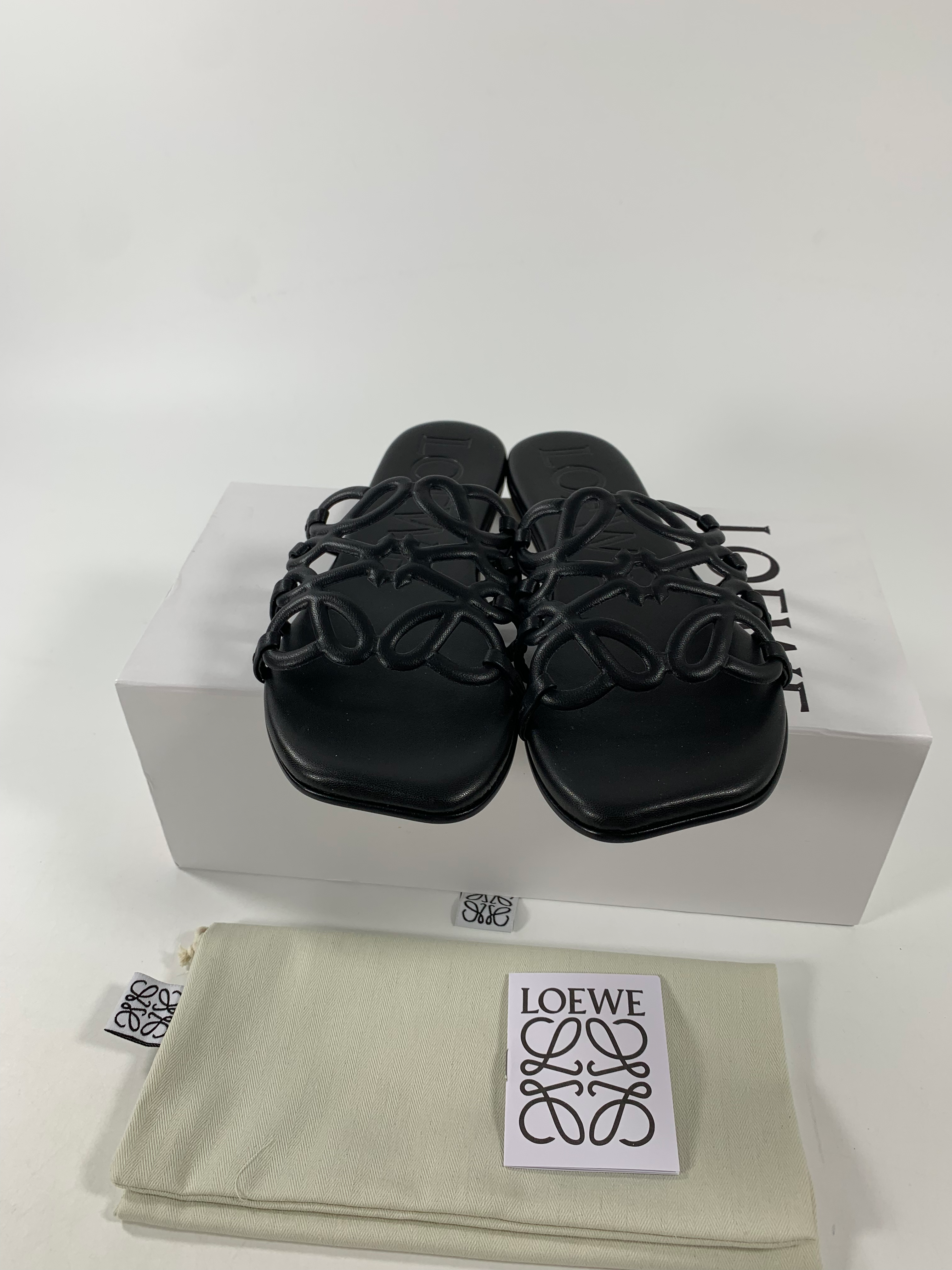 Black Petal Anagram Slide