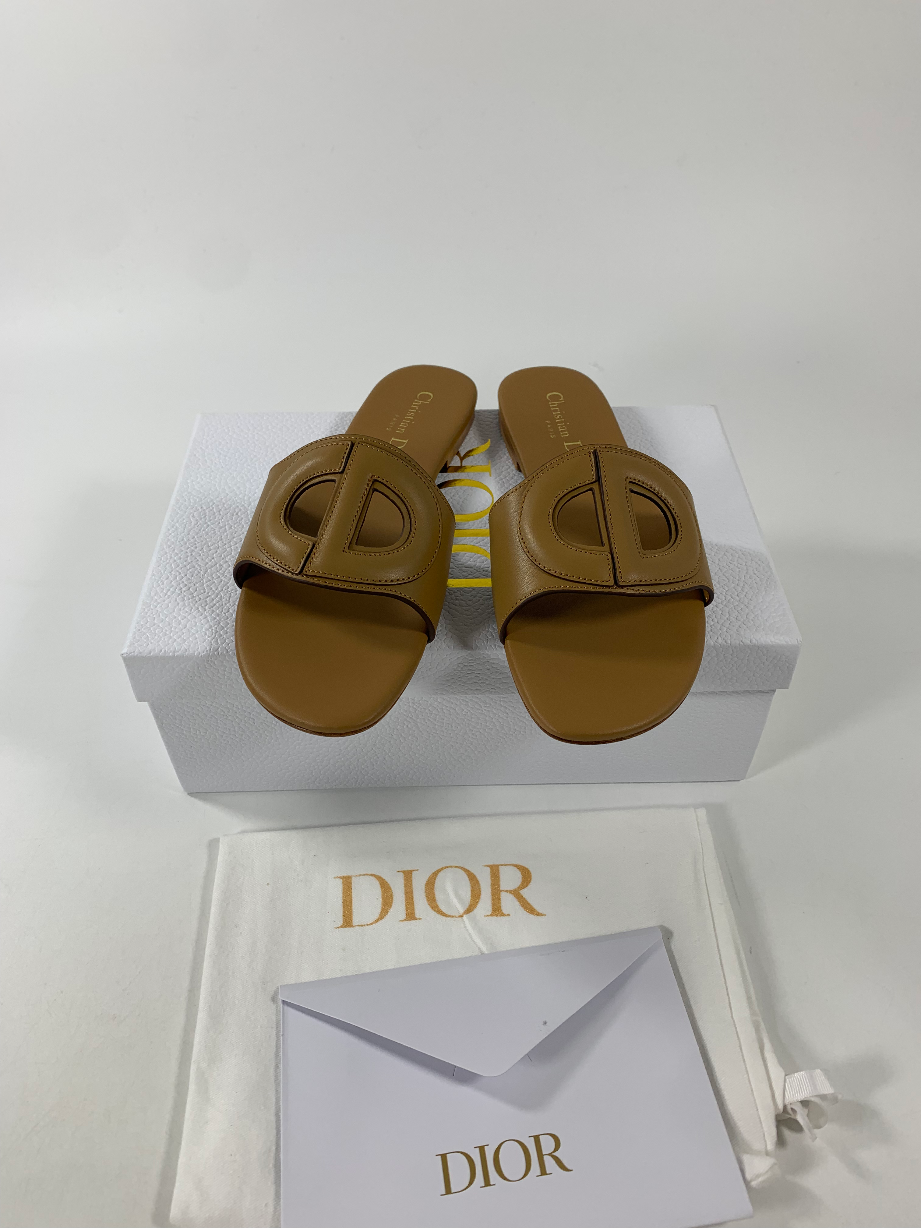 Camel DC mule