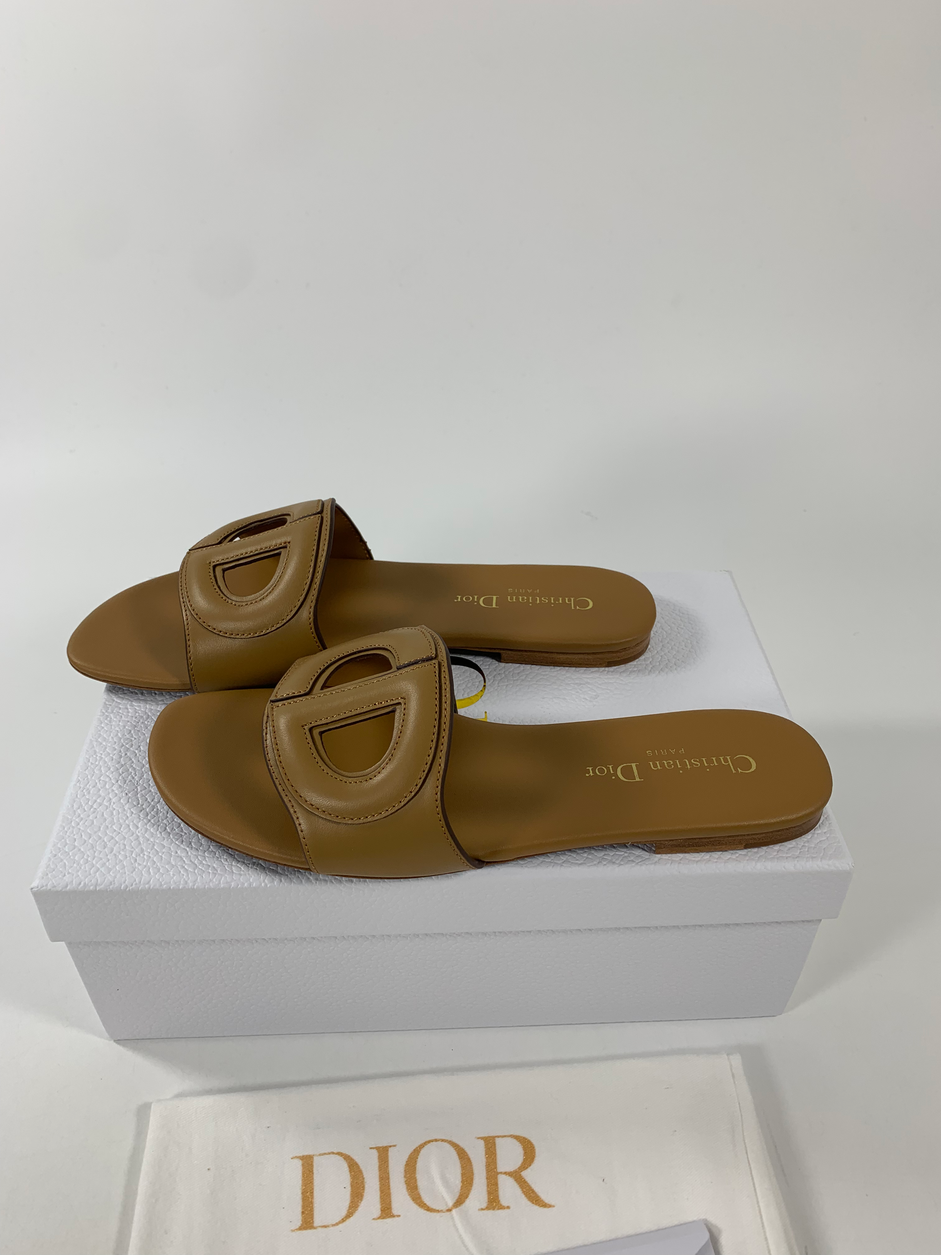 Camel DC mule