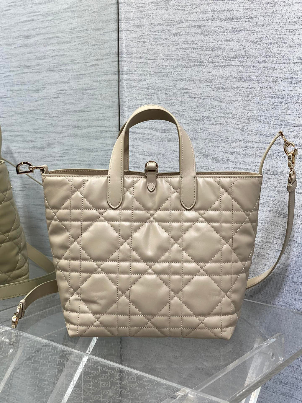 Powder Beige Small Toujours Vertical Tote Bag