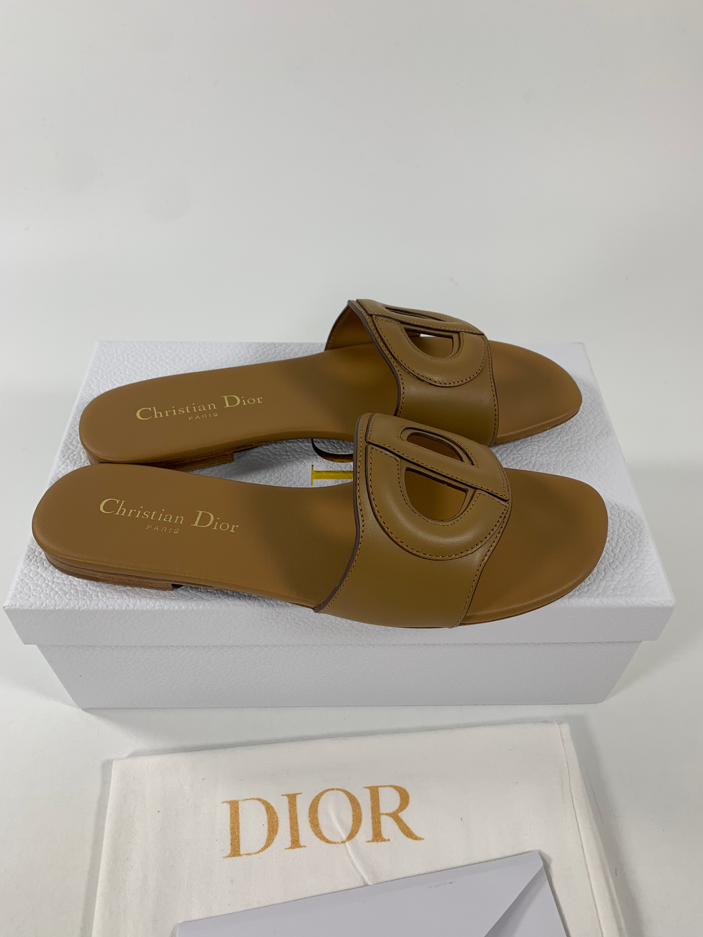 Camel DC mule