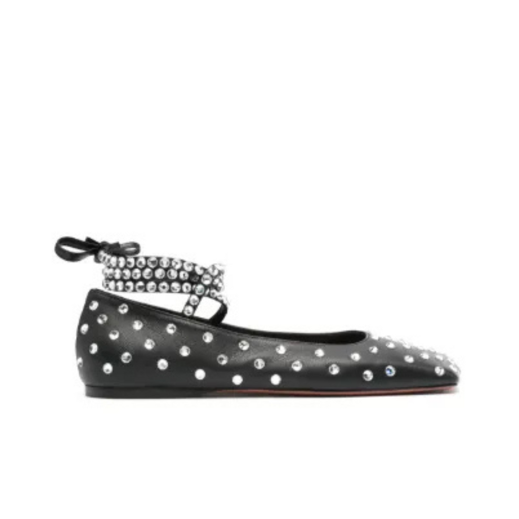 Black Ane Embellished Leather Ballet Flats