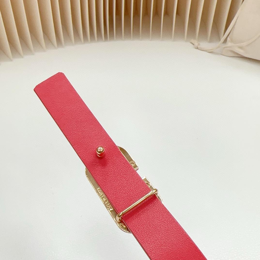 Red VS Belt 20 mm