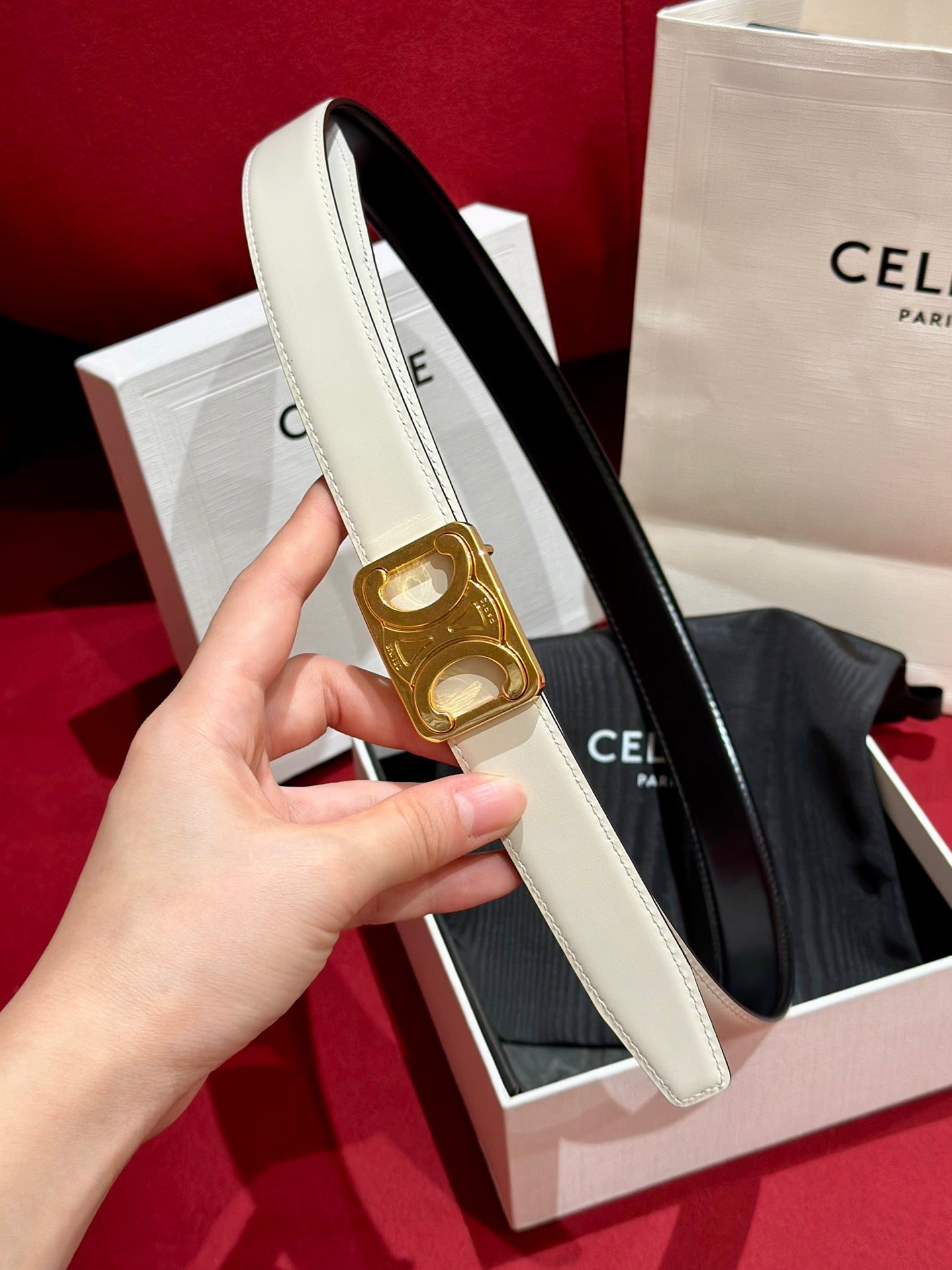 Black/White Medium Reversible Framed Triomphe Belt