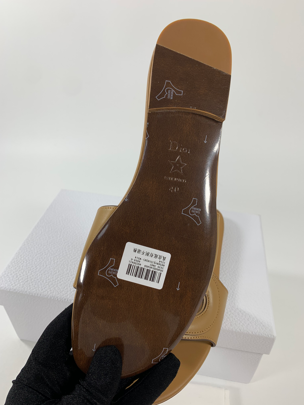 Camel DC mule