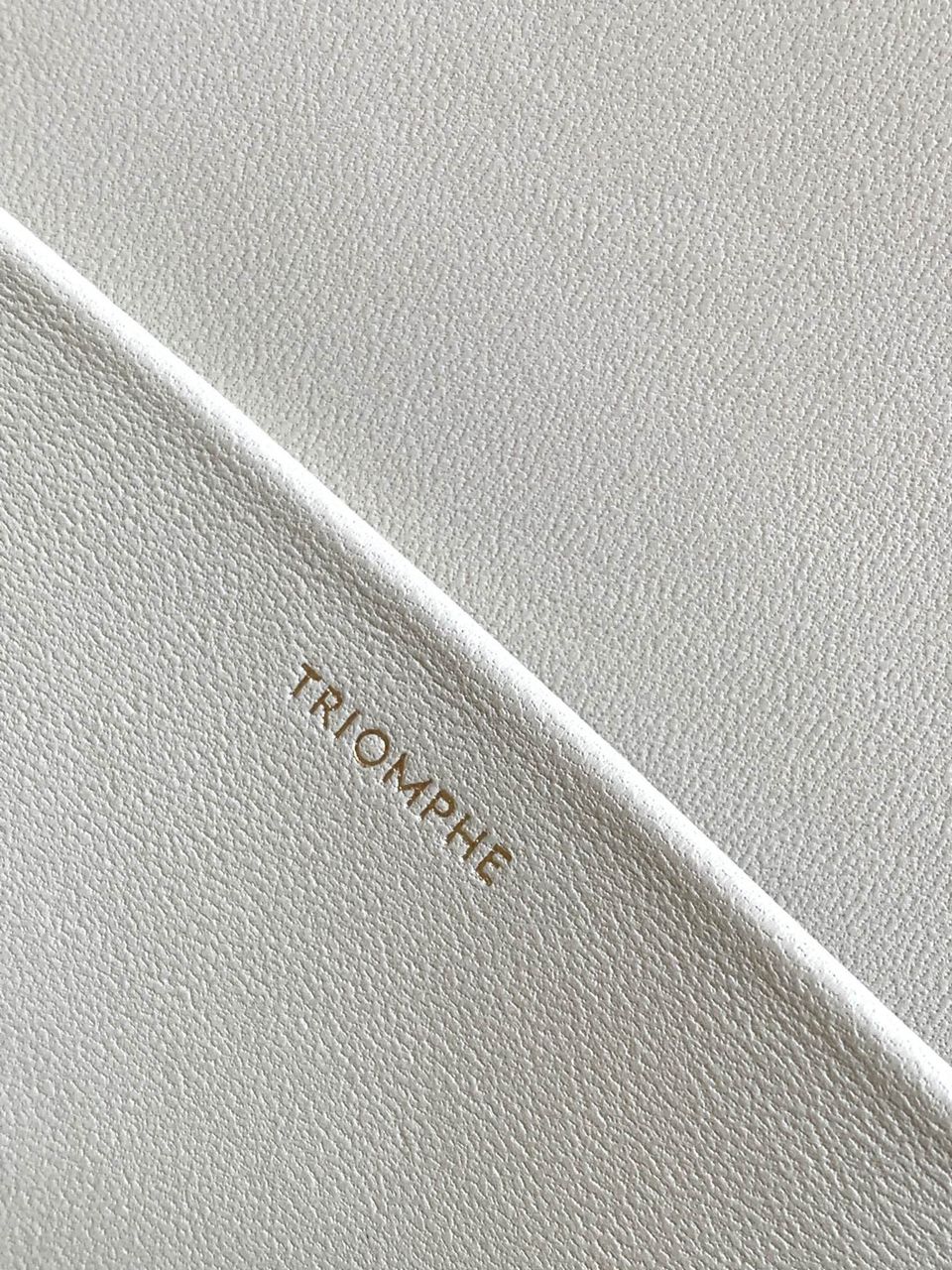 Limestone medium triomphe bag