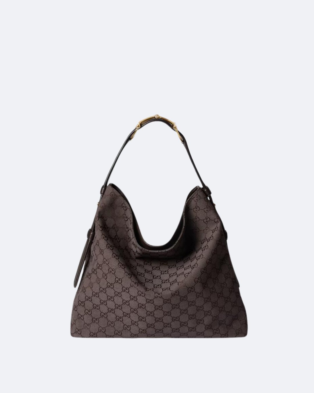 Brown & Dark Brown Canvas Beatrix Large Tote Bag