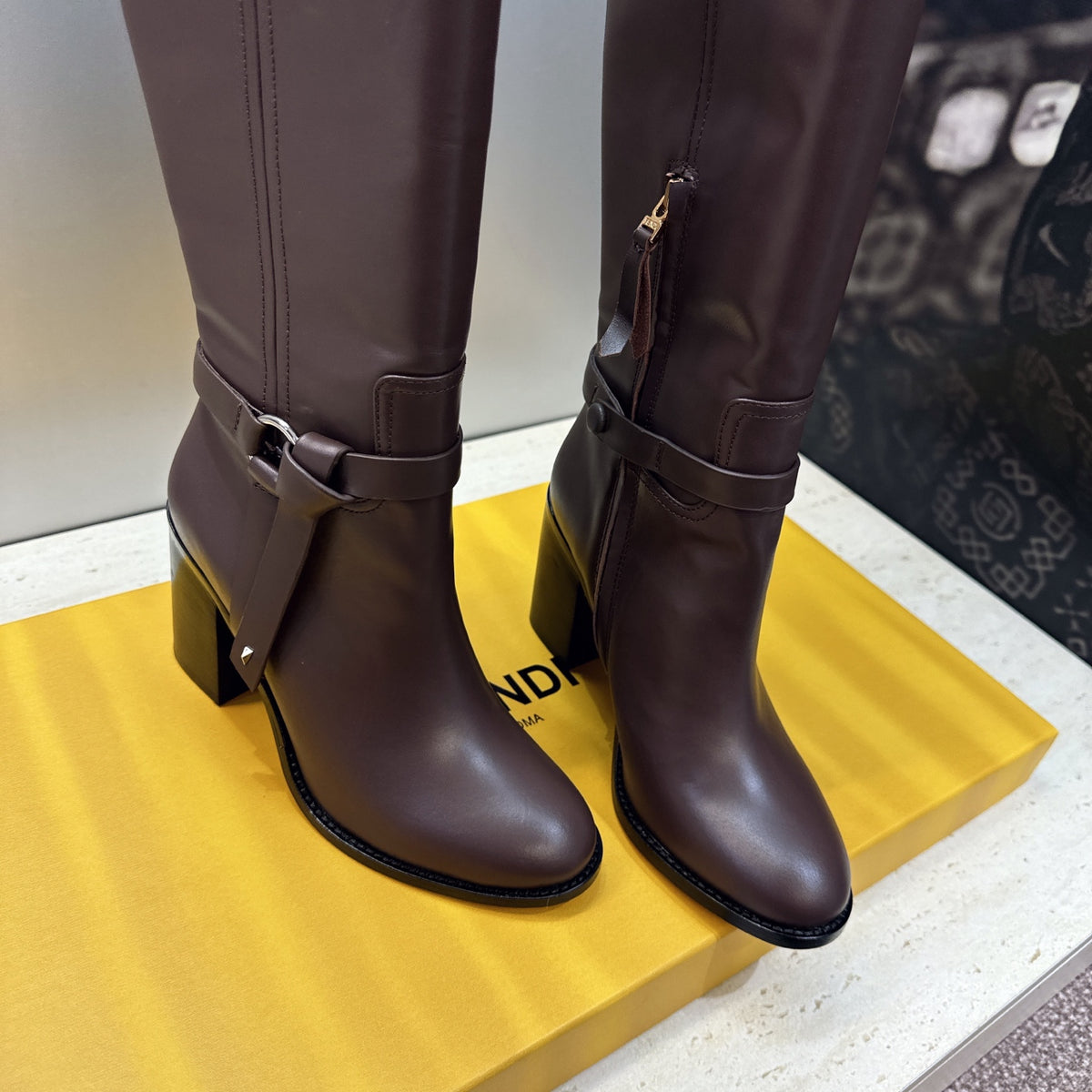 Dark Brown Dressage - 7